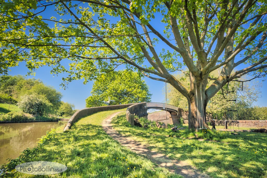 Footbridge, Tree and Swings at Hazlehurst&nbsp;Junction