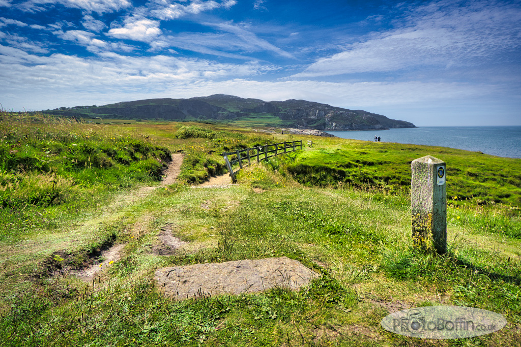 Footpath and Bridge at Breakwater Country&nbsp;Park