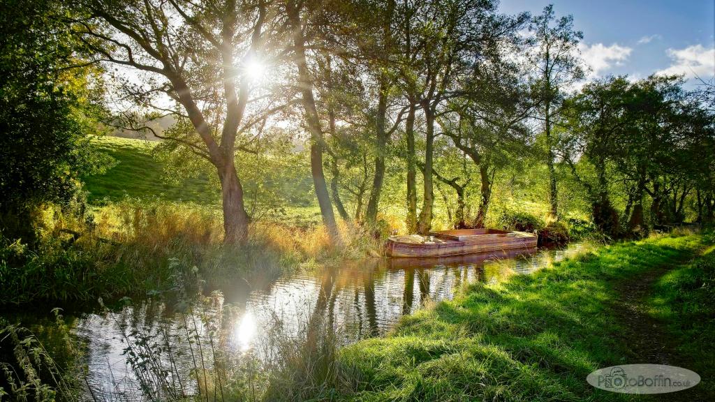 Light, Trees and Boat at Hazlehurst&nbsp;Junction