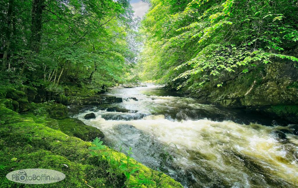 River Kent at Low Park Wood, Sedgwick