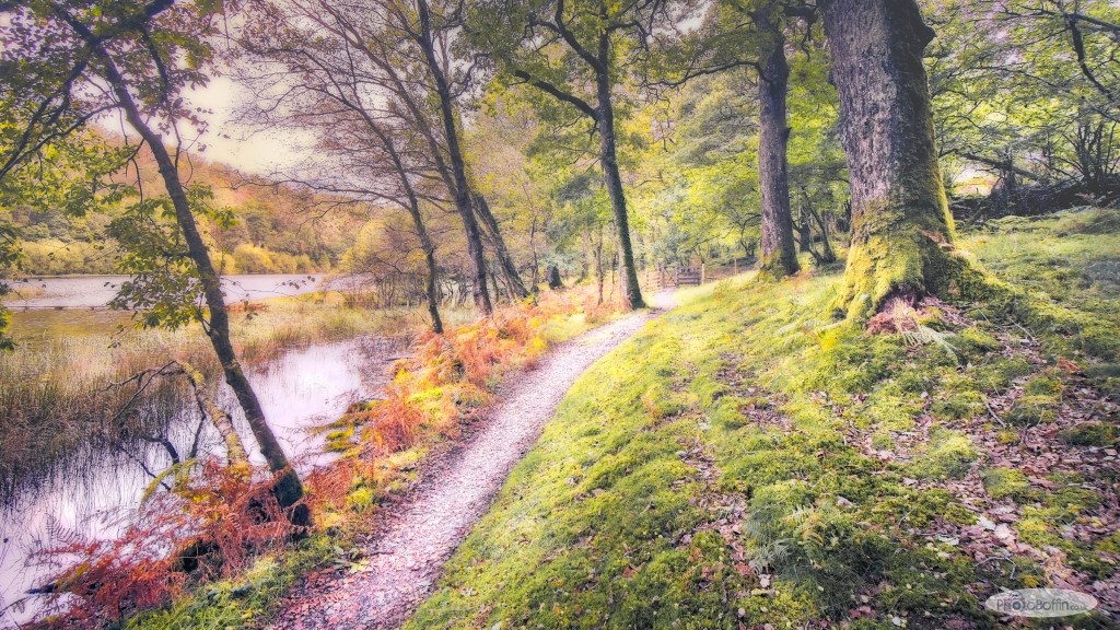 Path at Yew Tree&nbsp;Tarn